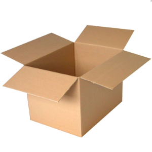 Large DW Cardboard Box